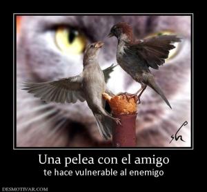Una pelea con el amigo te hace vulnerable al enemigo