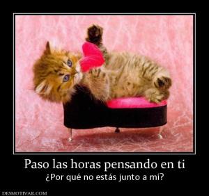 Paso las horas pensando en ti ¿Por qué no estás junto a mí?