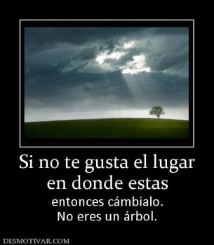 Si no te gusta el lugar en donde estas entonces cámbialo. No eres un árbol.