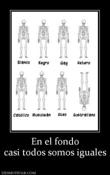 En el fondo casi todos somos iguales