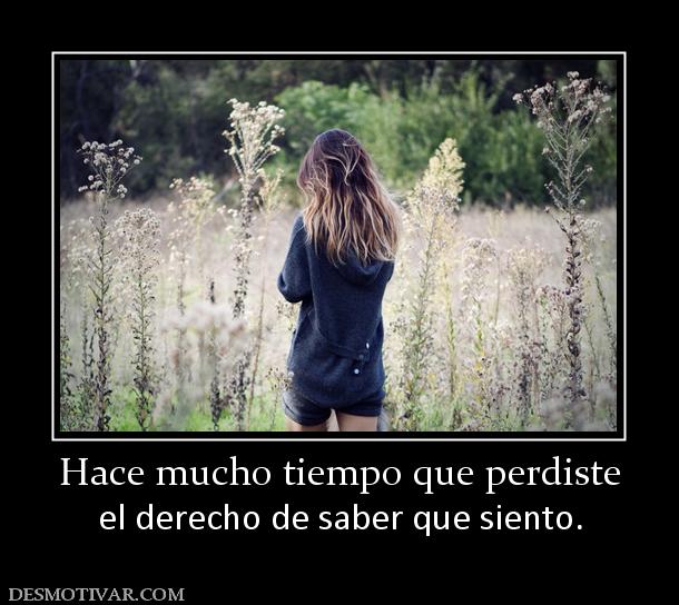 Hace mucho tiempo que perdiste el derecho de saber que siento.