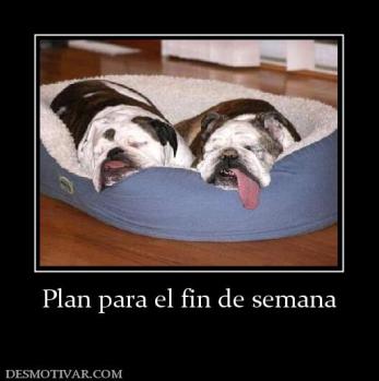 Plan para el fin de semana
