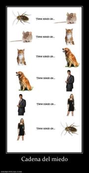 Cadena del miedo