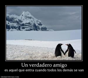 Un verdadero amigo es aquel que entra cuando todos los demás se van