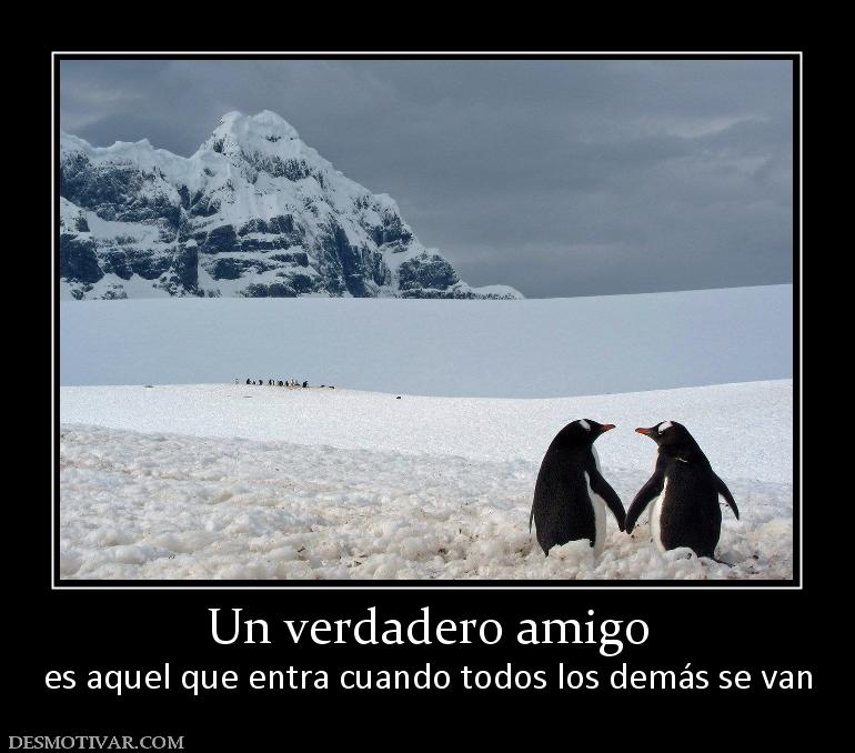 Un verdadero amigo es aquel que entra cuando todos los demás se van