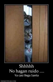 Shhhhh No hagan ruido .... Ya casi llega Santa