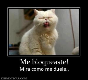 Me bloqueaste! Mira como me duele..
