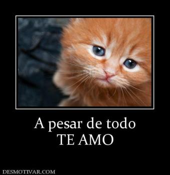 A pesar de todo TE AMO