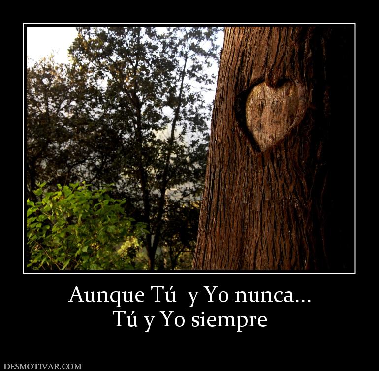 Aunque Tú  y Yo nunca... Tú y Yo siempre
