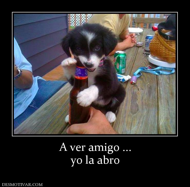A ver amigo ... yo la abro
