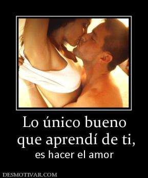 Lo único bueno  que aprendí de ti, es hacer el amor