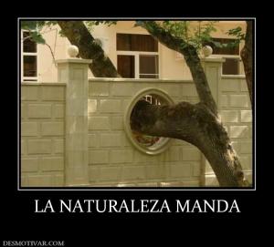 LA NATURALEZA MANDA