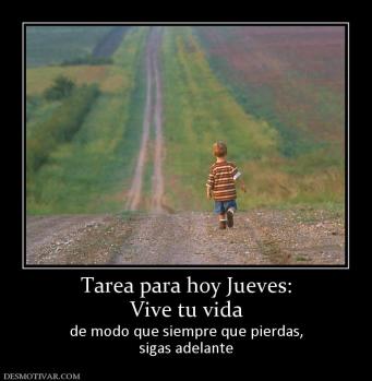 Tarea para hoy Jueves: Vive tu vida  de modo que siempre que pierdas, sigas adelante