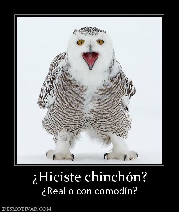 ¿Hiciste chinchón? ¿Real o con comodín?