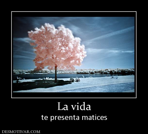 La vida te presenta matices