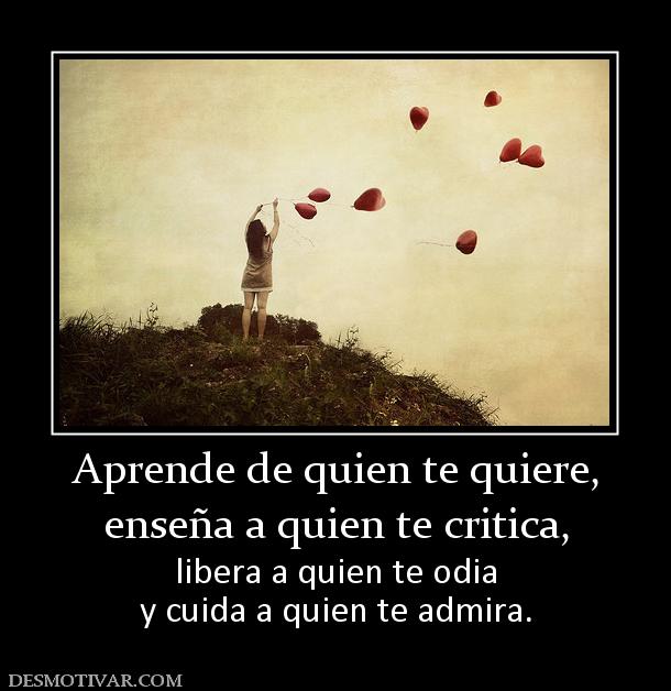 Aprende de quien te quiere, enseña a quien te critica, libera a quien te odia y cuida a quien te admira.