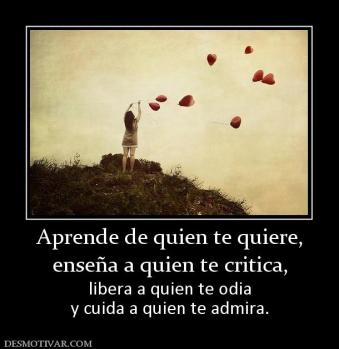 Aprende de quien te quiere, enseña a quien te critica, libera a quien te odia y cuida a quien te admira.