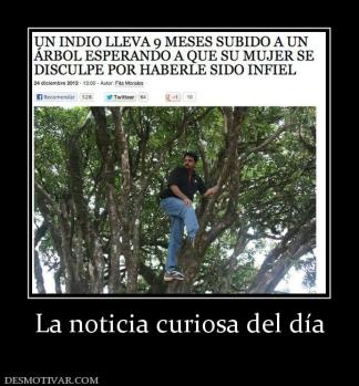 La noticia curiosa del día