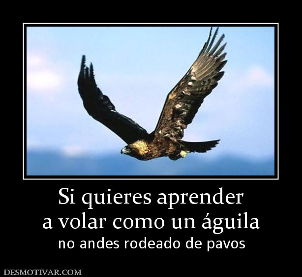 Si quieres aprender a volar como un águila no andes rodeado de pavos