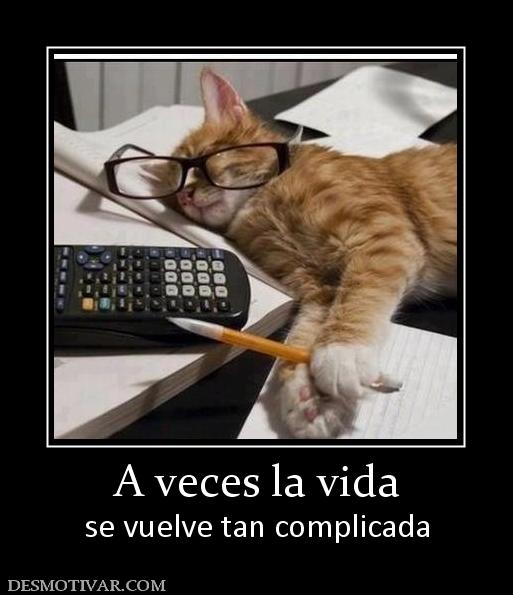 A veces la vida se vuelve tan complicada