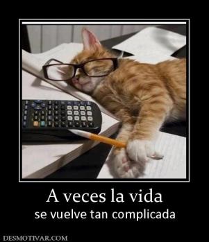 A veces la vida se vuelve tan complicada