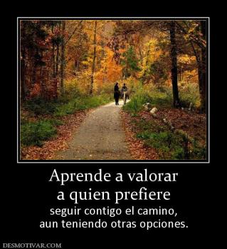 Aprende a valorar a quien prefiere seguir contigo el camino, aun teniendo otras opciones.