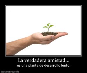 La verdadera amistad... es una planta de desarrollo lento.