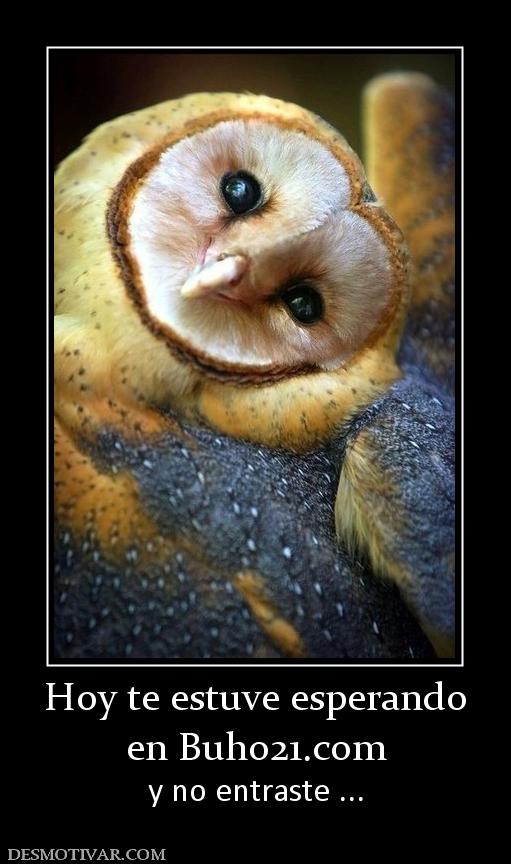 Hoy te estuve esperando en buho21.org y no entraste ...