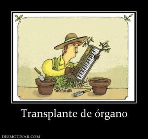 Transplante de órgano