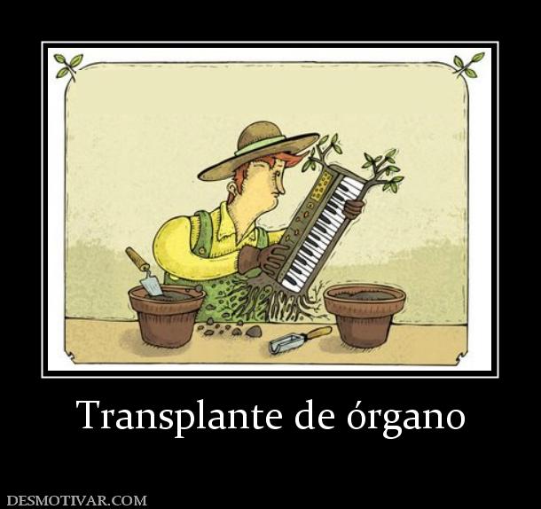 Transplante de órgano