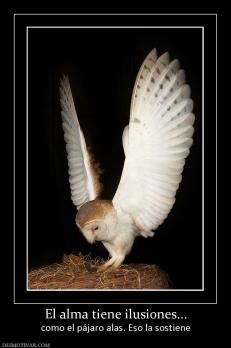 El alma tiene ilusiones... como el pájaro alas. Eso la sostiene