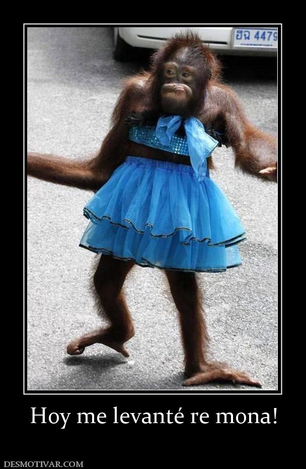 Hoy me levanté re mona!