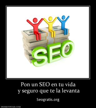 Pon un SEO en tu vida  y seguro que te la levanta  Seogratis.org
