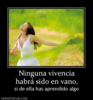 Ninguna vivencia habrá sido en vano, si de ella has aprendido algo