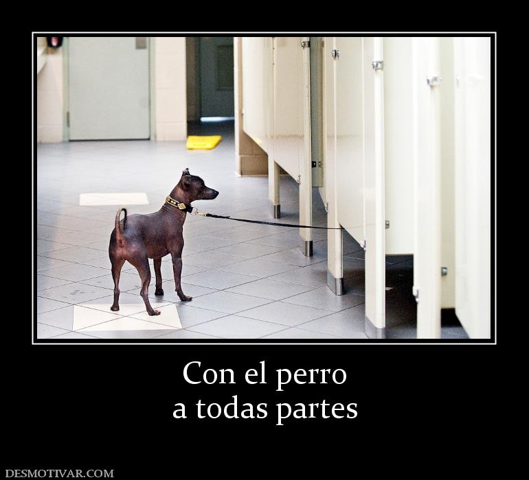 Con el perro a todas partes