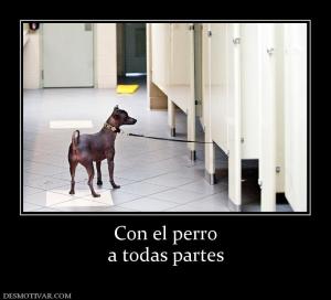 Con el perro a todas partes