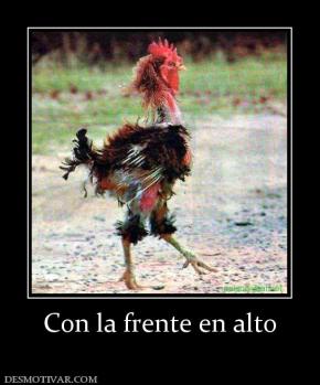 Con la frente en alto