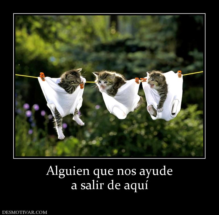 Alguien que nos ayude a salir de aquí