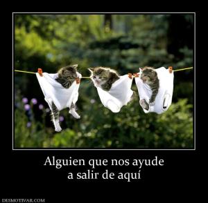 Alguien que nos ayude a salir de aquí