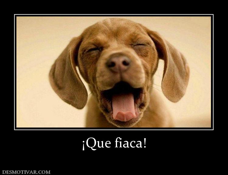 ¡Que fiaca!