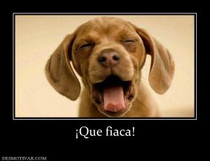 ¡Que fiaca!