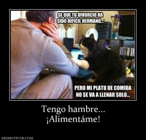 Tengo hambre... ¡Alimentáme!