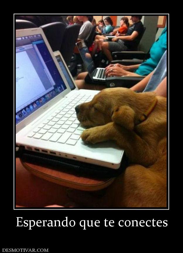 Esperando que te conectes