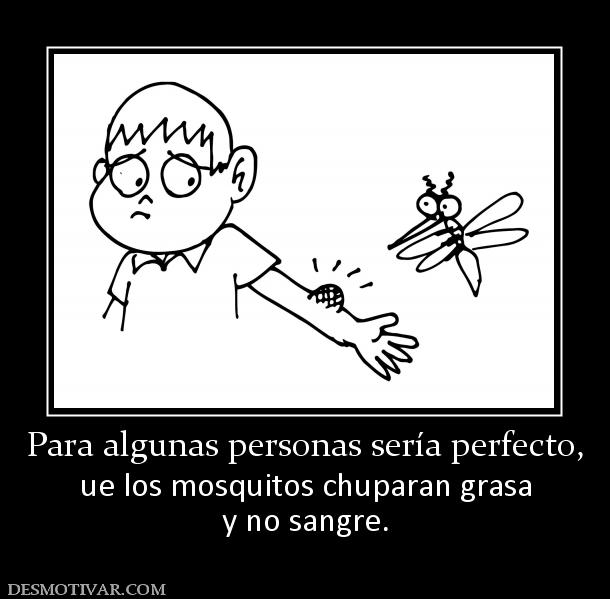 Para algunas personas sería perfecto, ue los mosquitos chuparan grasa y no sangre.