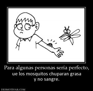 Para algunas personas sería perfecto, ue los mosquitos chuparan grasa y no sangre.