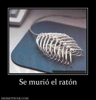 Se murió el ratón