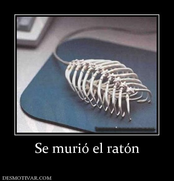 Se murió el ratón