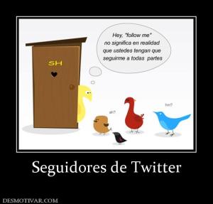Seguidores de Twitter