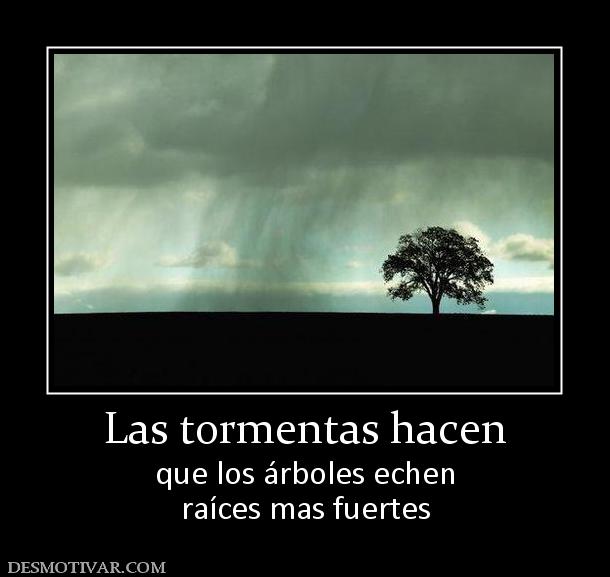 Las tormentas hacen que los árboles echen raíces mas fuertes