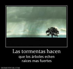 Las tormentas hacen que los árboles echen raíces mas fuertes